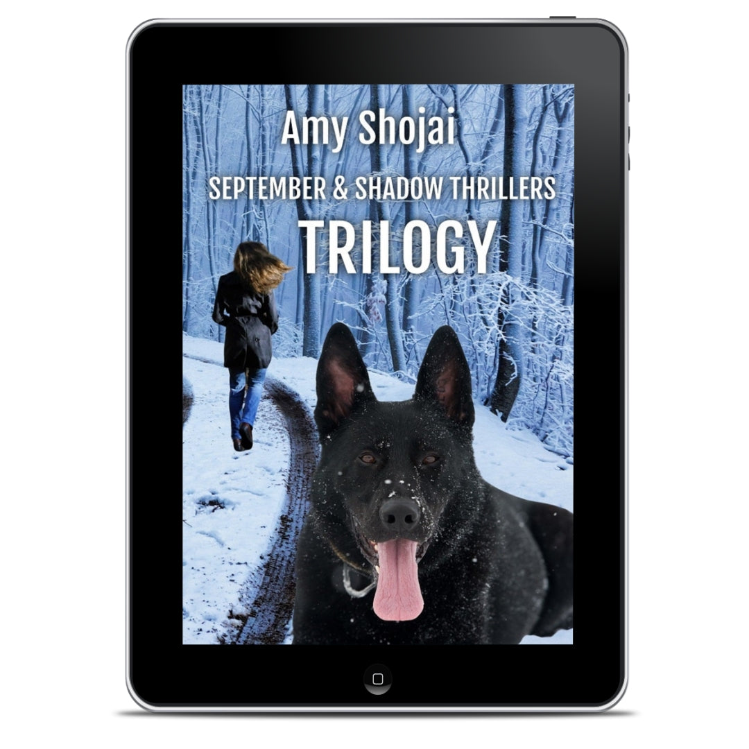 September & Shadow Thrillers Book Bundle 1-3 (Ebook)