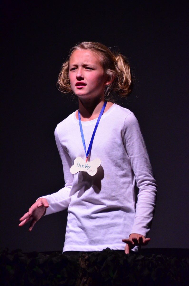 STRAYS, the Musical (PDF)