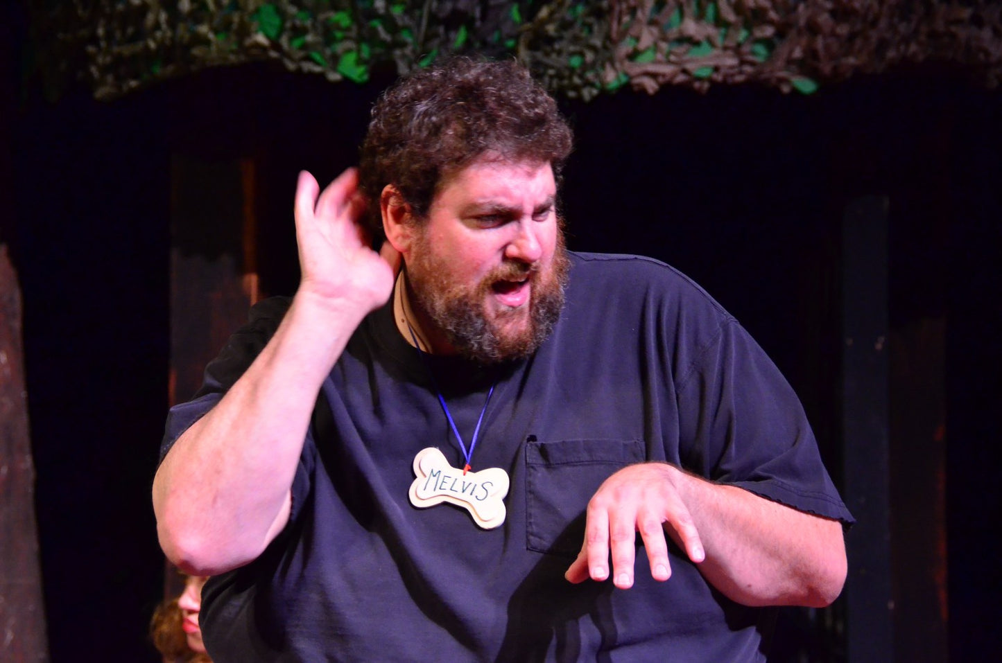 STRAYS, the Musical (PDF)