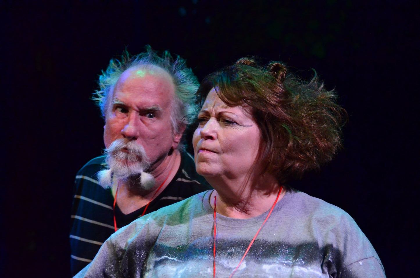 STRAYS, the Musical (PDF)