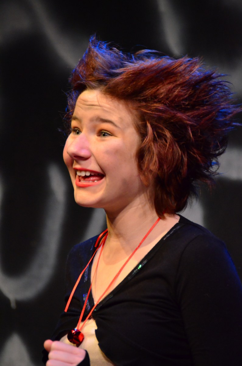 STRAYS, the Musical (PDF)