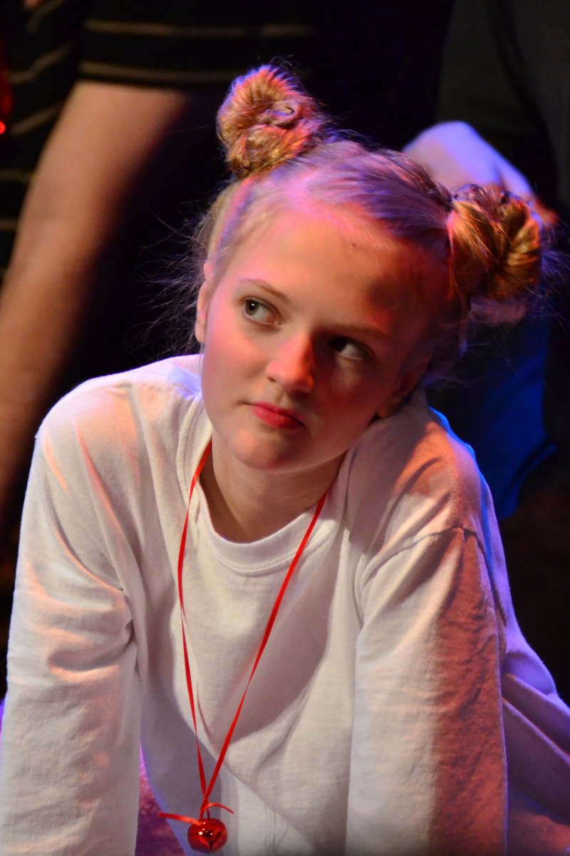 STRAYS, the Musical (PDF)