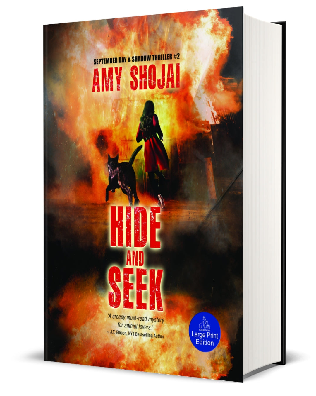Hide And Seek (Hardcover-LARGE PRINT)