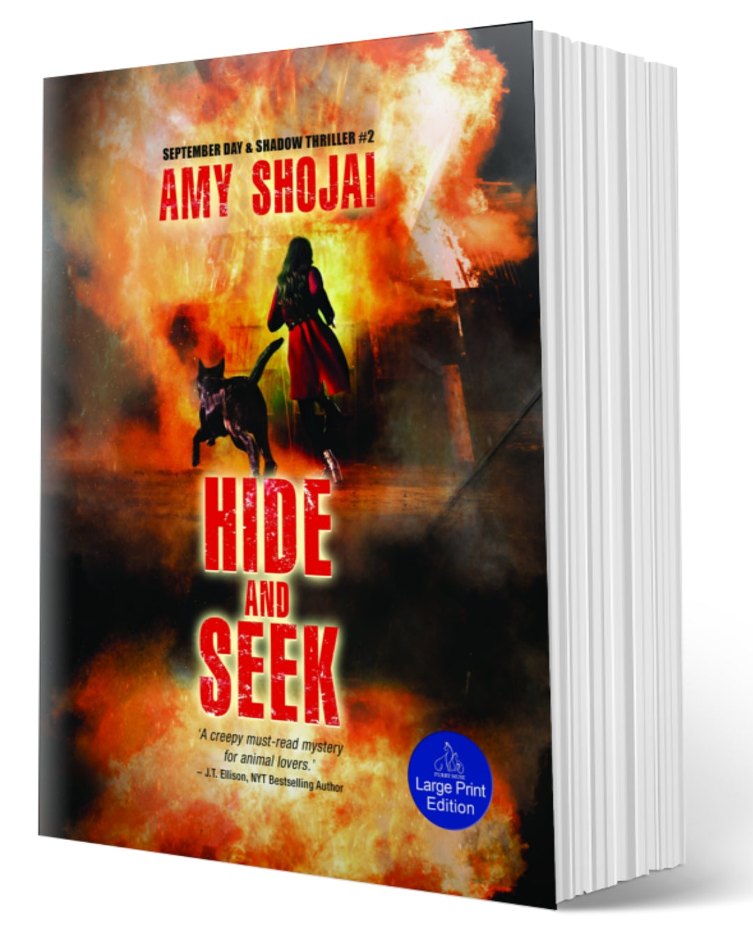 Hide And Seek (Paperback-LARGE PRINT)