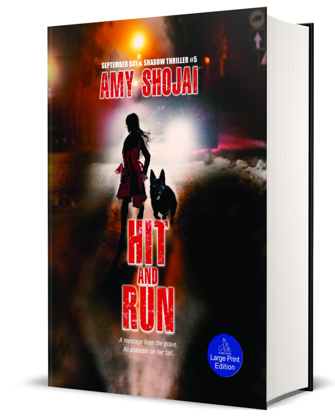 Hit And Run (Hardcover-LARGE PRINT)