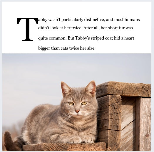 Christmas Cat Legend (Paperback Gift Book)
