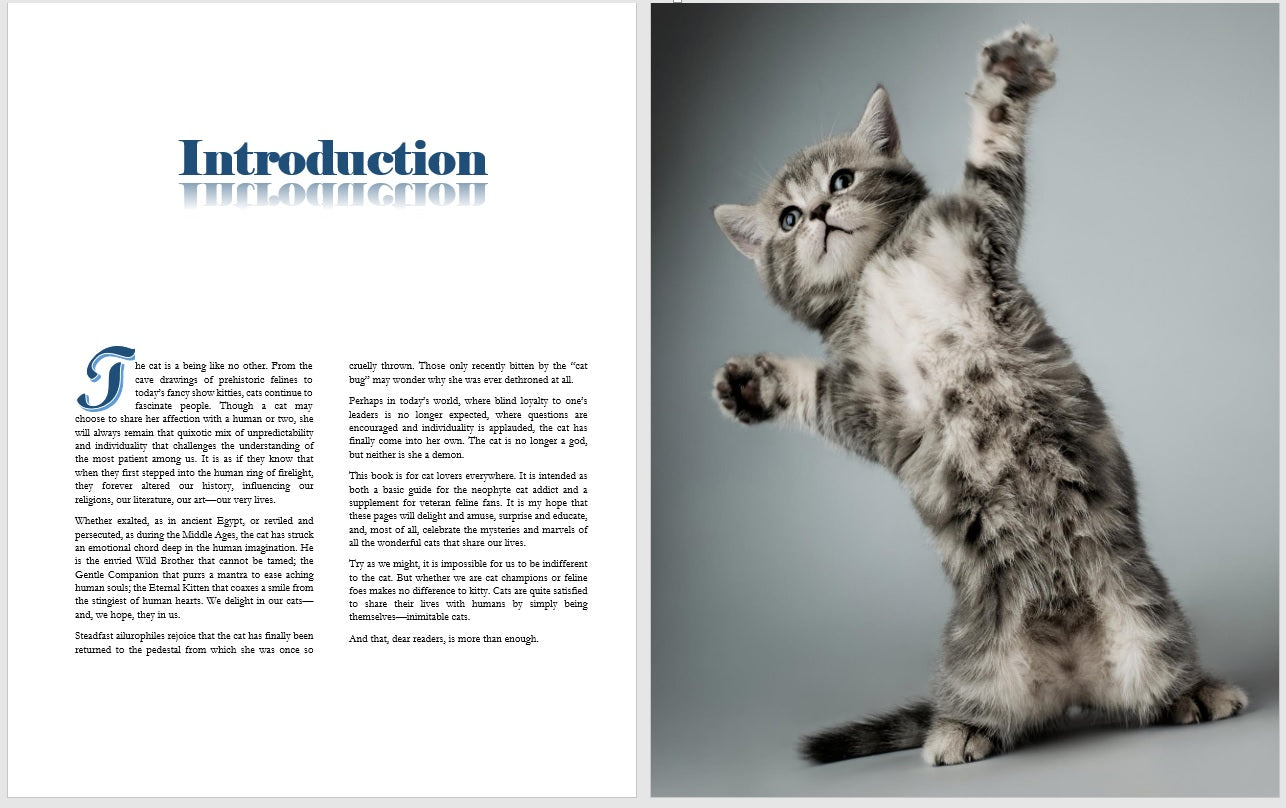 3 Cat Books Holiday Deal