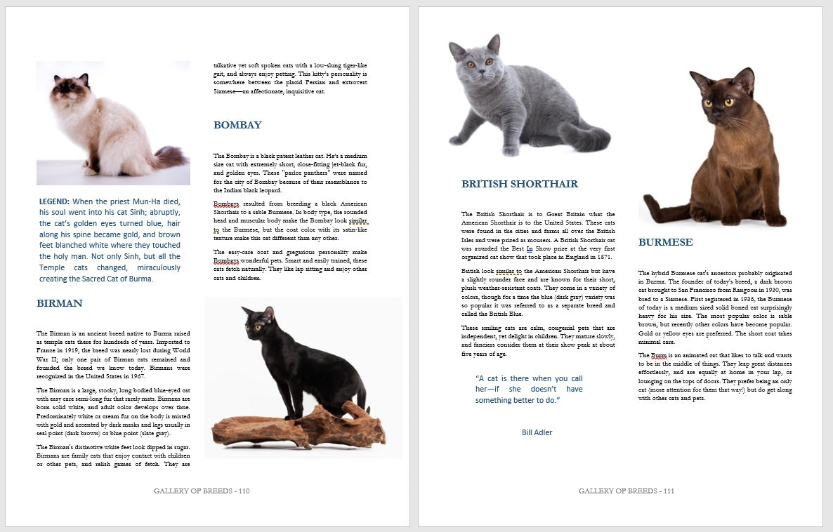 3 Cat Books Holiday Deal