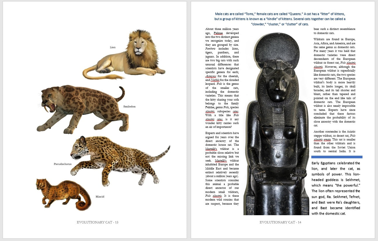 3 Cat Books Holiday Deal