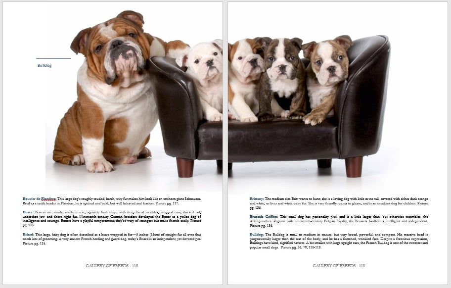 3 Dog Books Holiday Deal