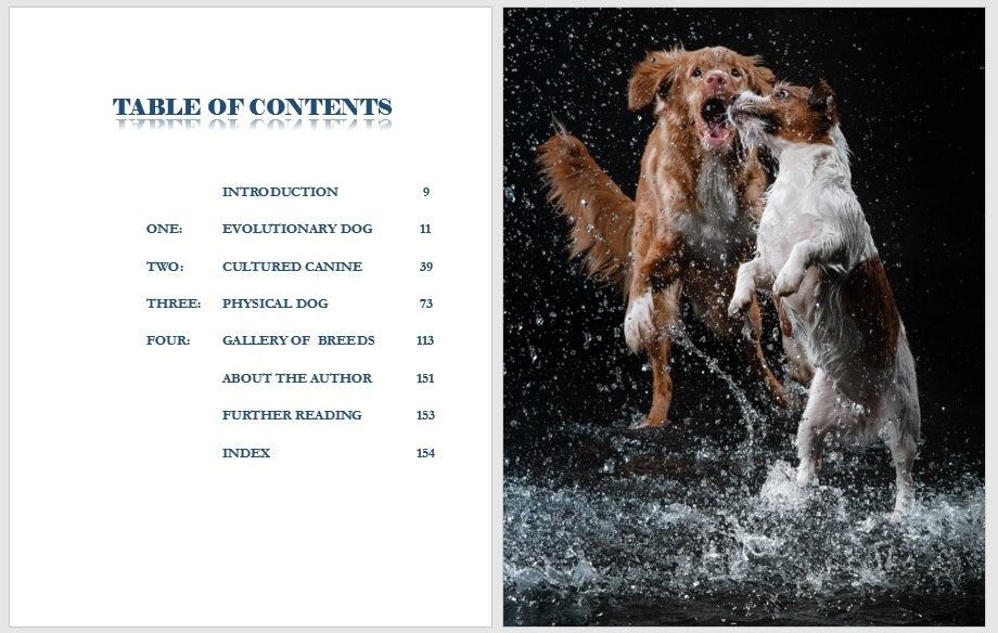 3 Dog Books Holiday Deal