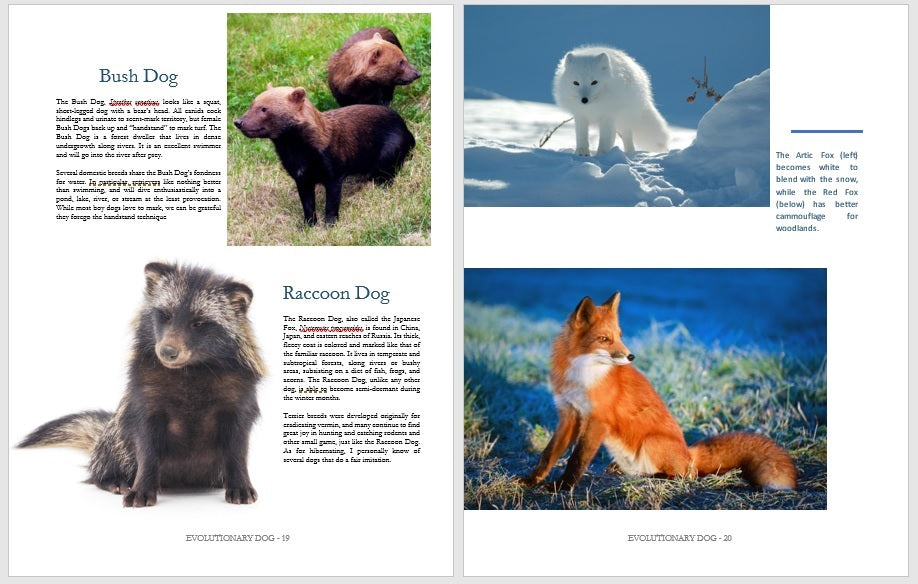3 Dog Books Holiday Deal