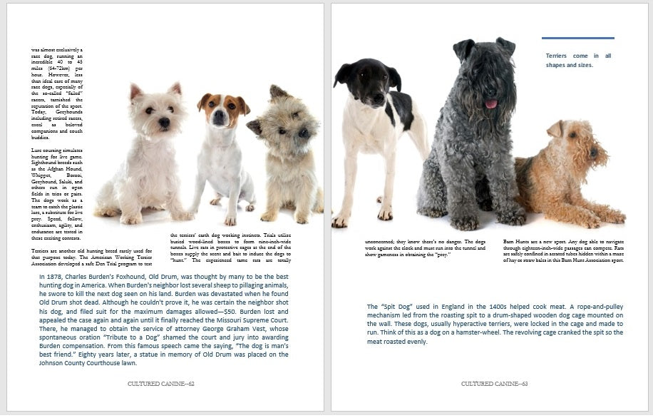3 Dog Books Holiday Deal