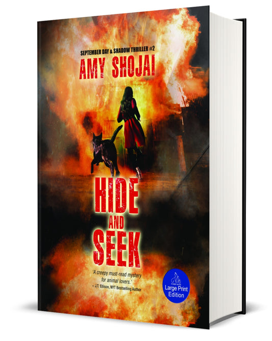 Hide And Seek (Hardcover-LARGE PRINT)