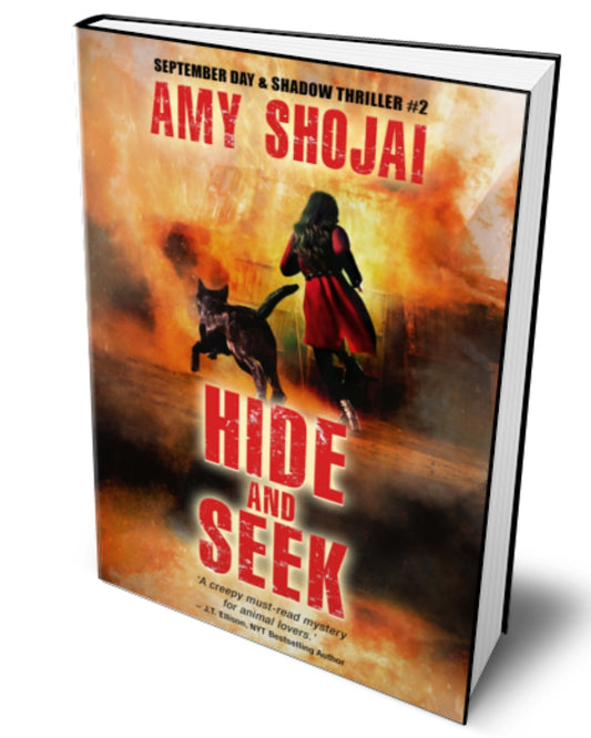 Hide And Seek (Hardcover)