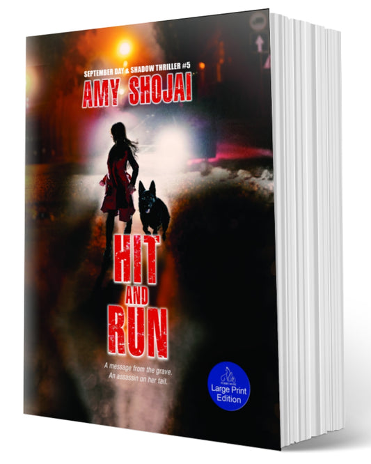 Hit And Run (Paperback-LARGE PRINT)