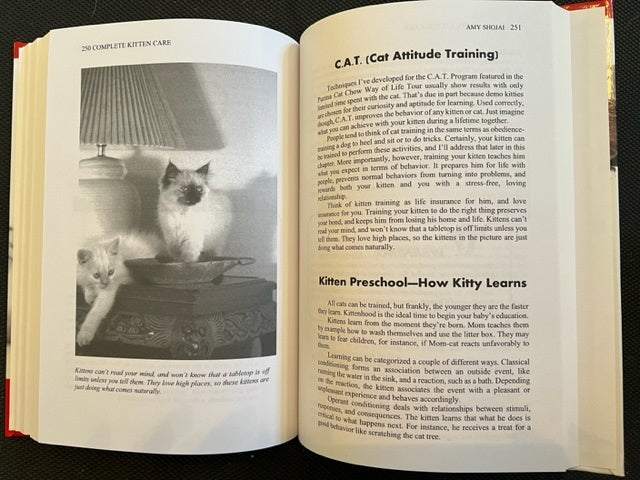 3 Cat Books Holiday Deal