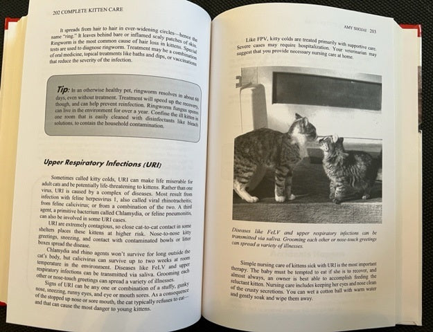 3 Cat Books Holiday Deal