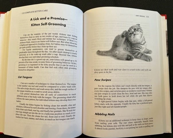 3 Cat Books Holiday Deal