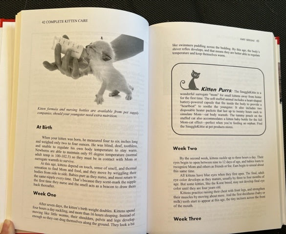3 Cat Books Holiday Deal