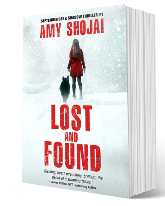 Lost And Found (Paperback)