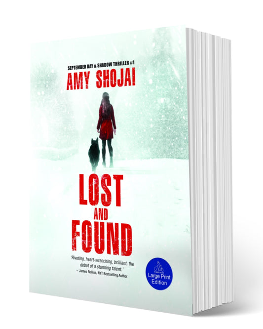 Lost And Found (Paperback-LARGE PRINT)