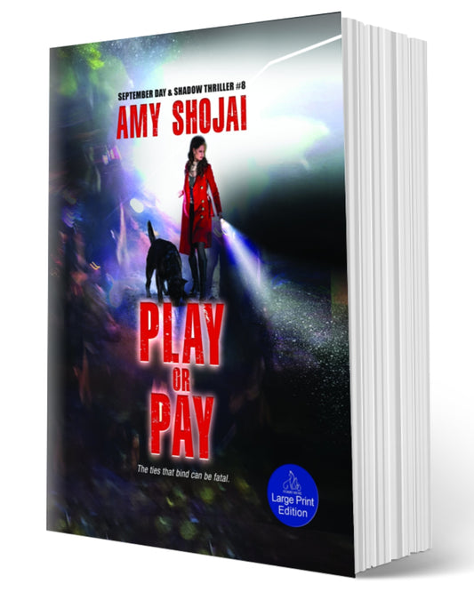 Play Or Pay (Paperback-LARGE PRINT)