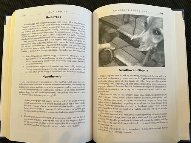 3 Dog Books Holiday Deal